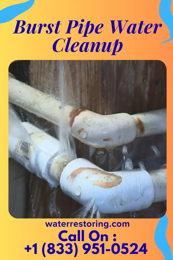 Burst Pipe Water Cleanup in Farnham, NY