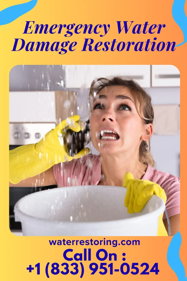 Emergency Water Damage Restoration in Farnham, NY