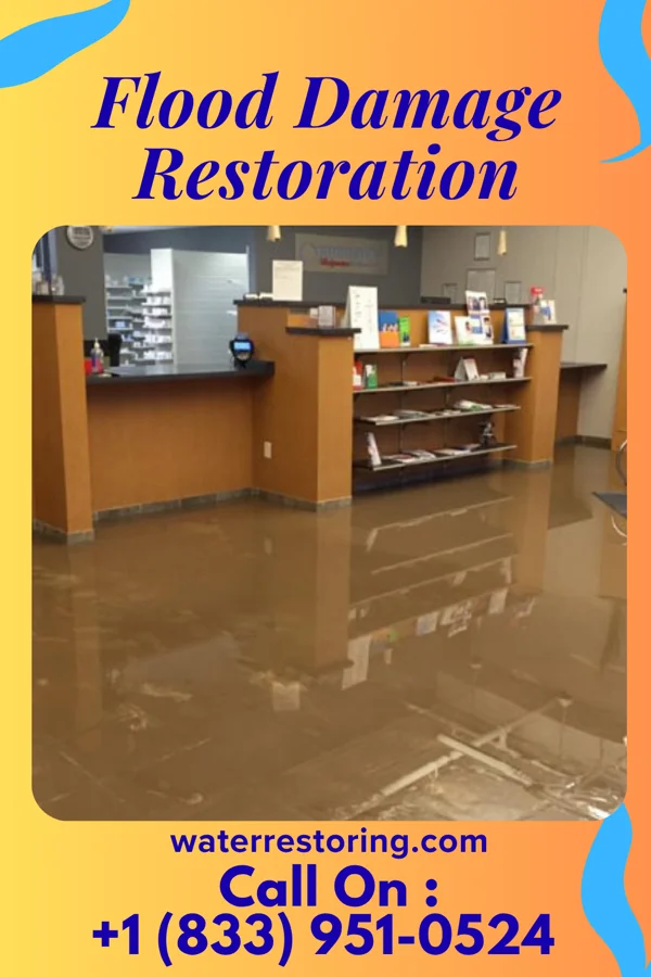 Flood Damage Restoration in Farnham, NY