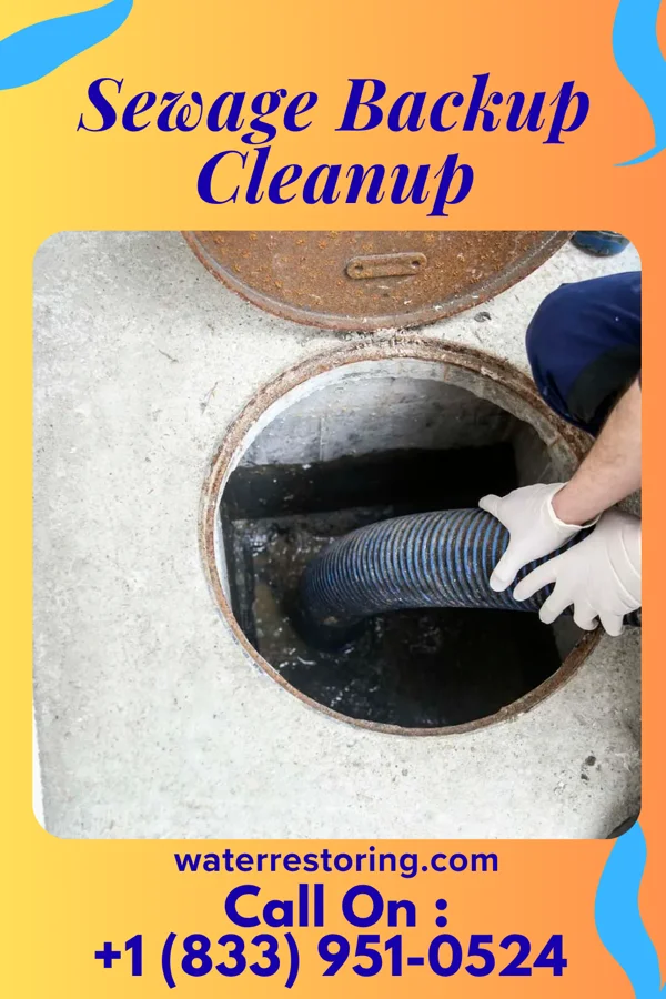 Sewage Backup Cleanup in Farnham, NY