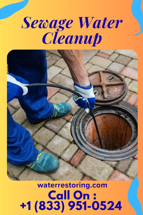 Sewage Water Cleanup in Farnham, NY